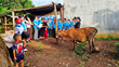 Hội LHPN thị trấn Chư Sê: Trao bò sinh sản và hỗ trợ sinh kế cho hộ...
