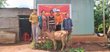  trao tặng 01 con bò cho hội viên phụ nữ nghèo tại làng Amo