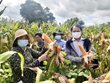 GIA LAI TĂNG CƯỜNG CÔNG TÁC TUYÊN TRUYỀN VỀ THÔNG TIN ĐỐI NGOẠI TRÊ...